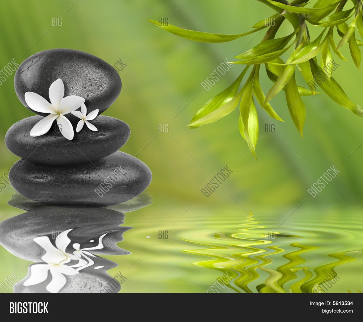 Рог изобилия