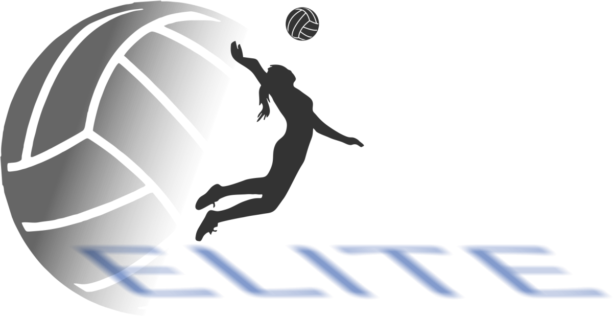 Женский волейбол логотип