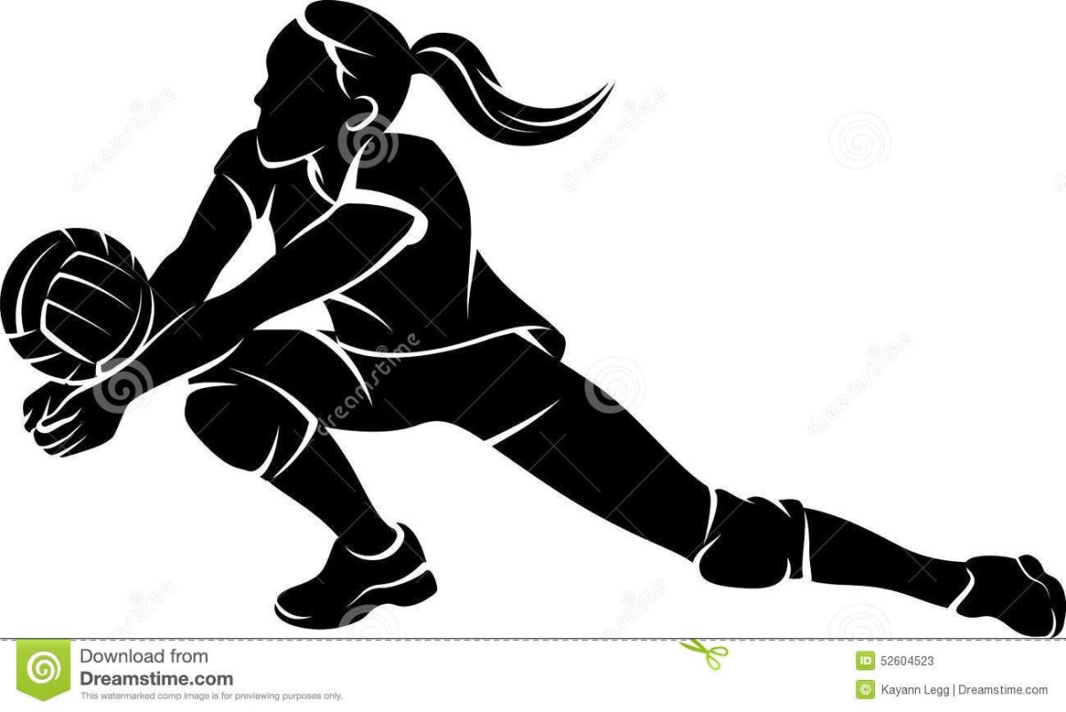 Волейбольный мяч черно белый