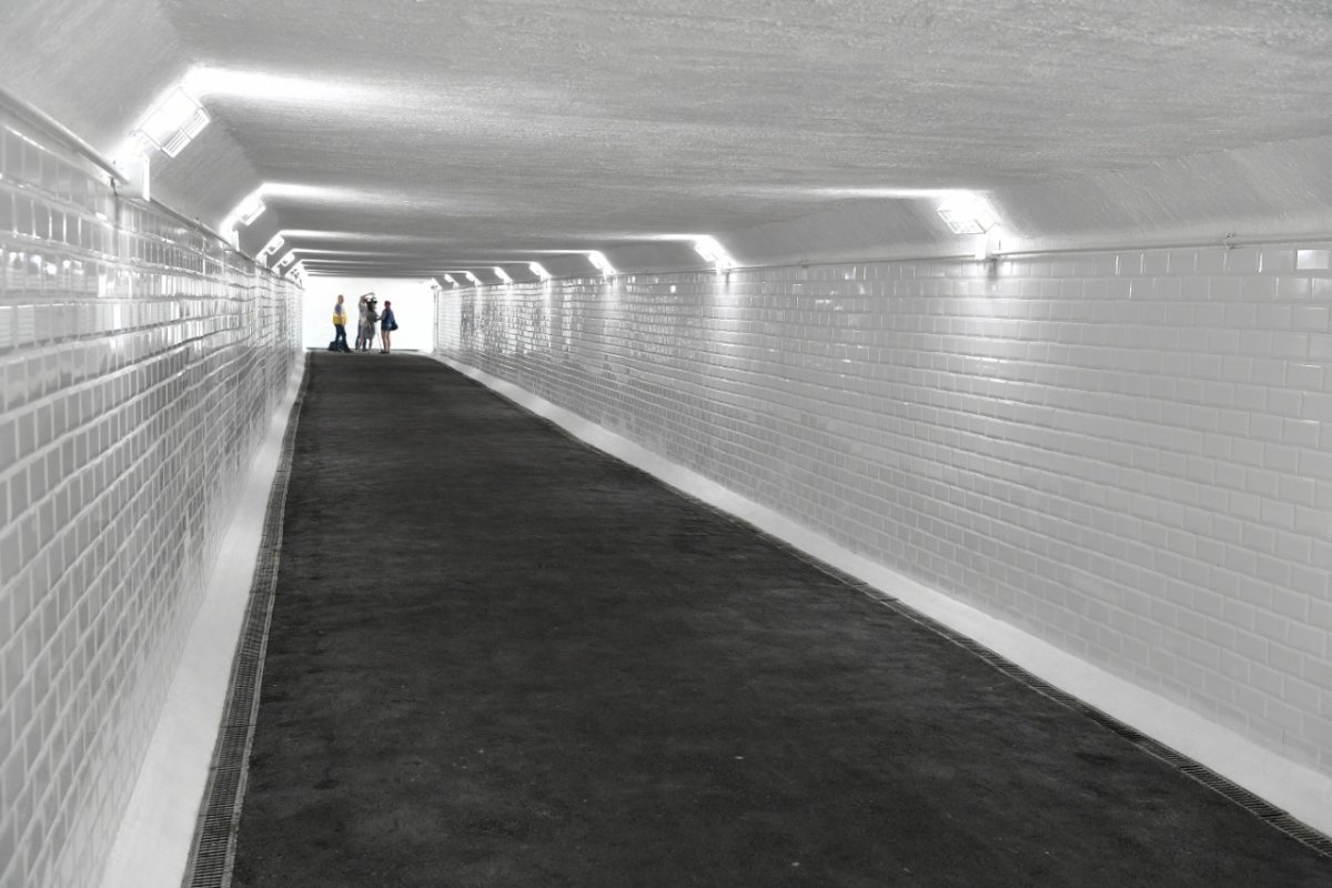 Пешеход из мультфильма