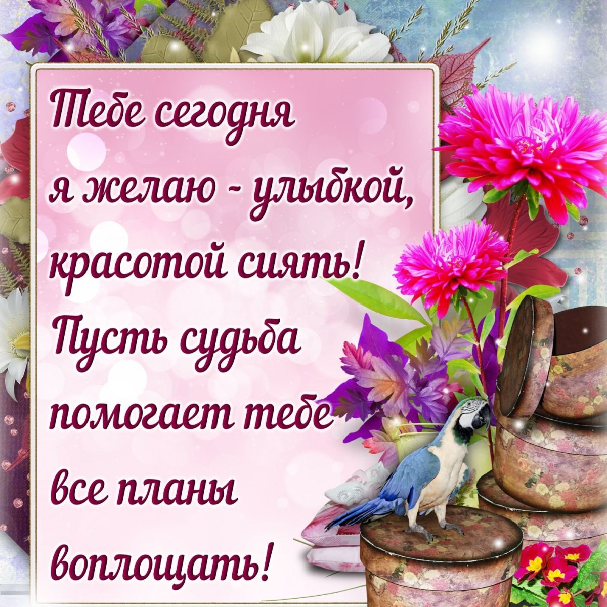 Добрые пожелания