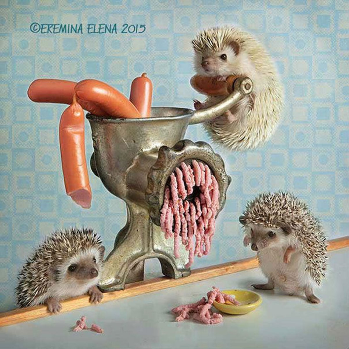 Настроение уставший Ежик