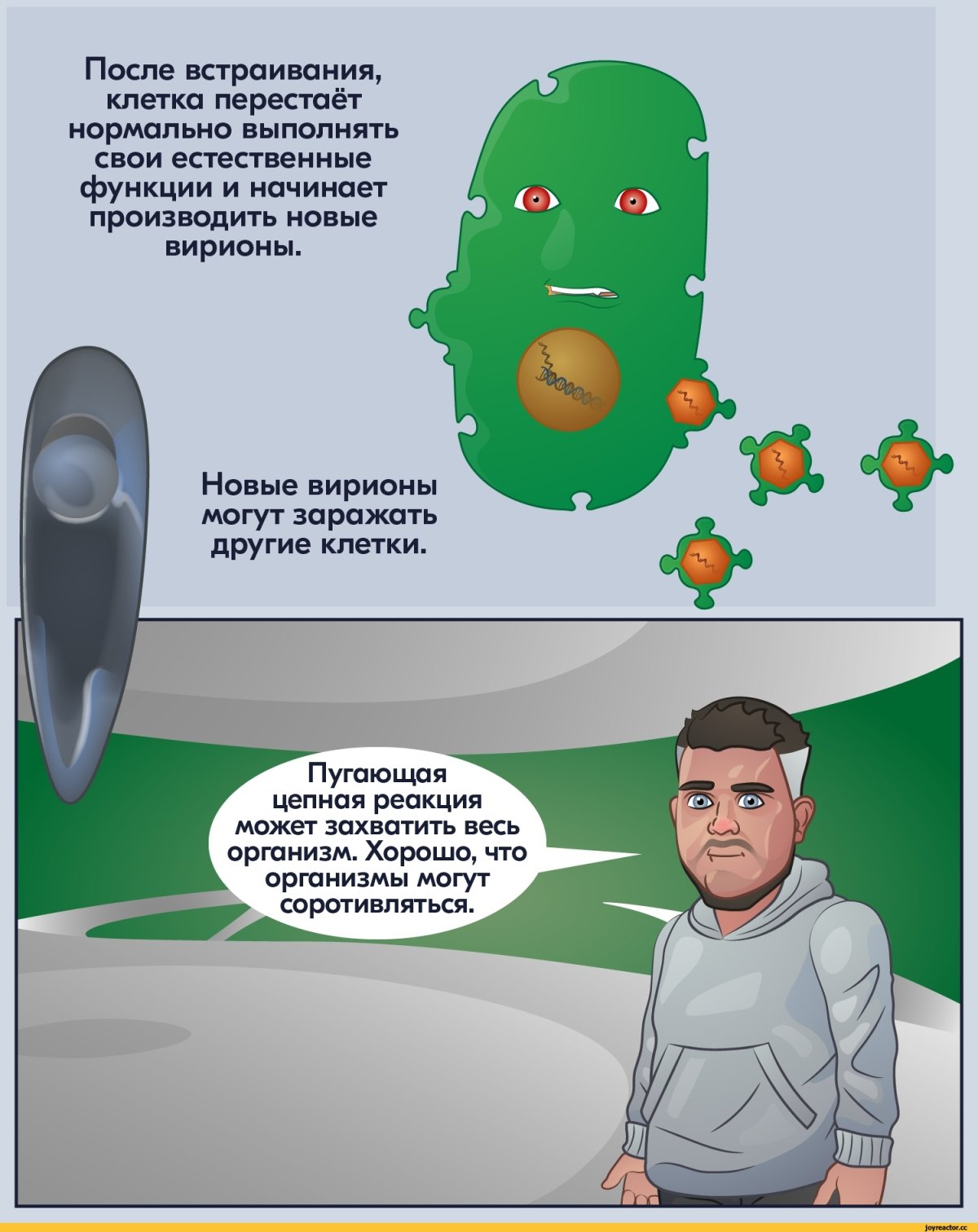 Вирус прикол