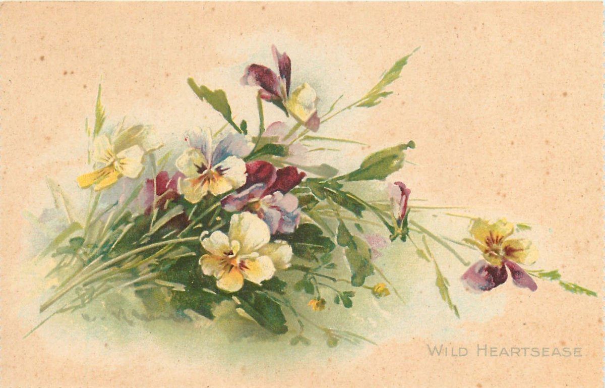 Художница Катарина Кляйн Catharina Klein