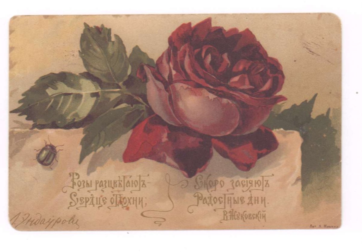 Любовь Эндаурова