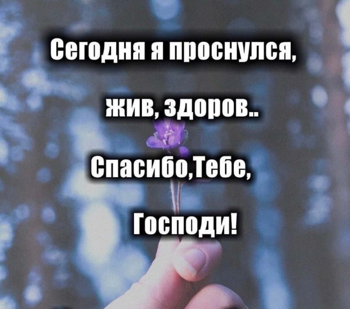 Христианские открытки с добрым утром