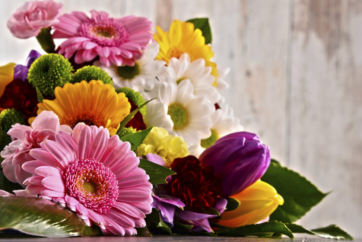 Роза на книге