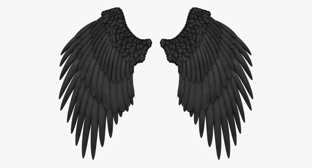 Крылья ангела черные