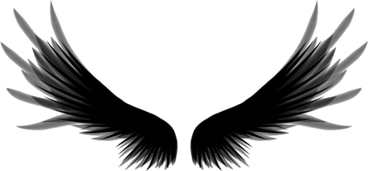 Темные Крылья