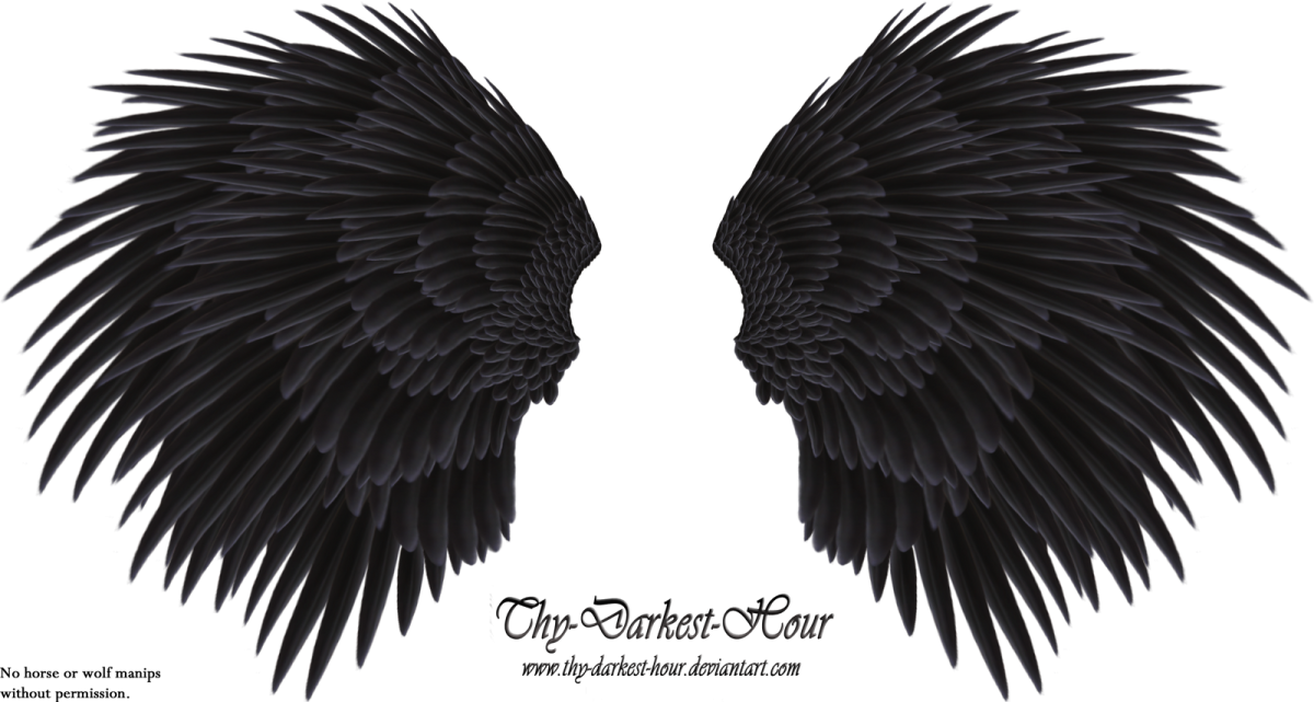 Крылья демона без фона