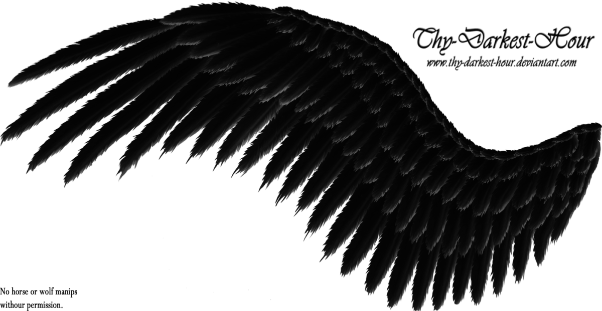 Черные Крылья