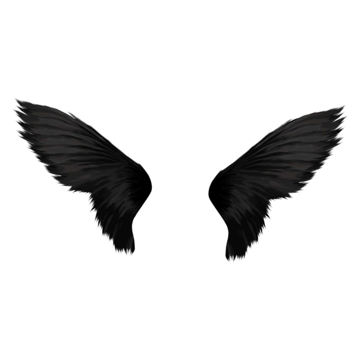 Крылья ангела черные