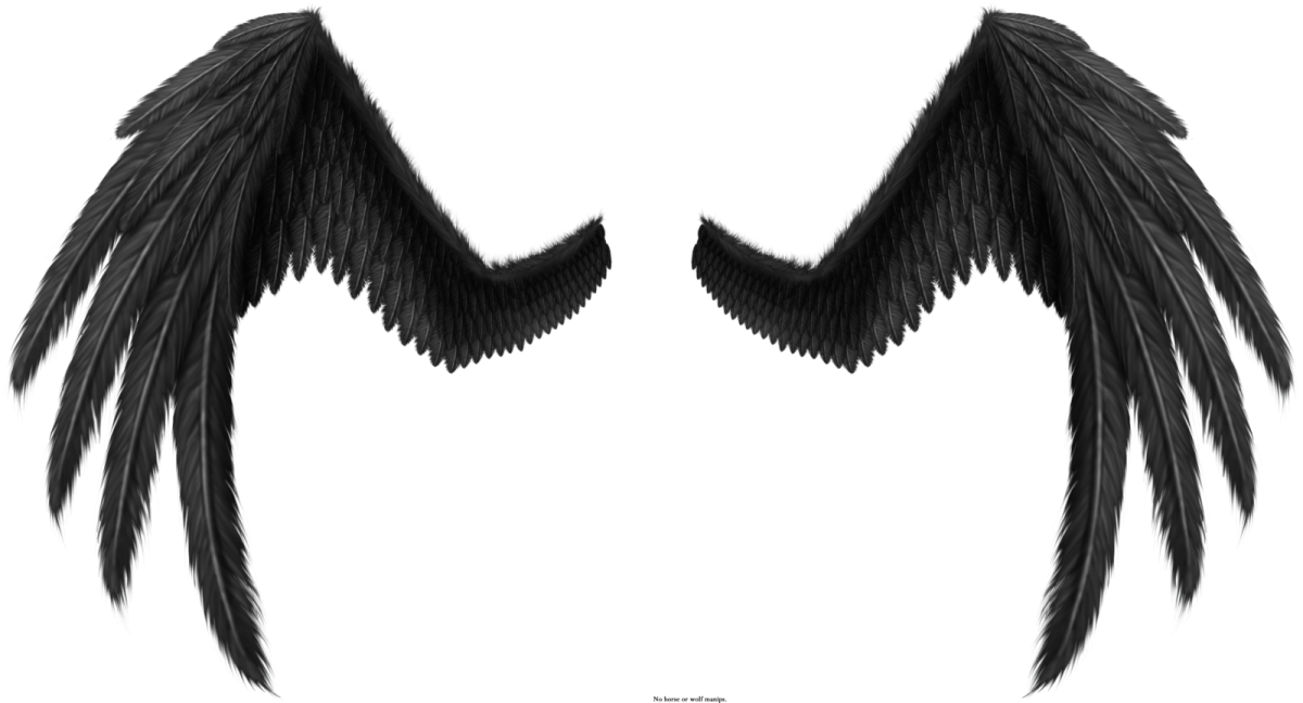 Черные Крылья