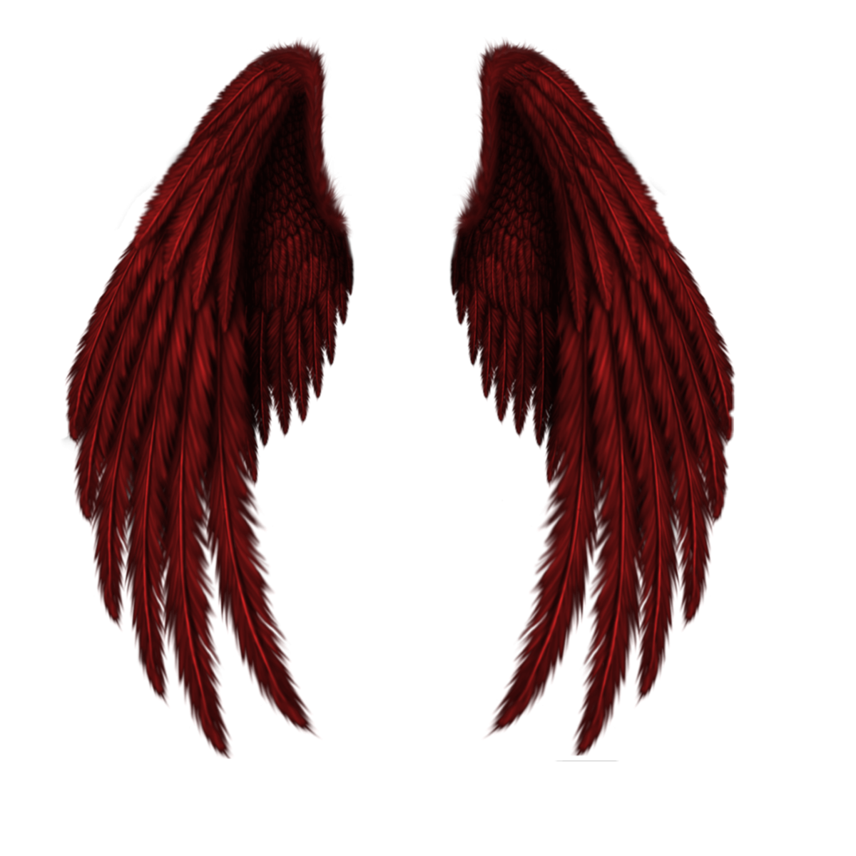 Черные Крылья