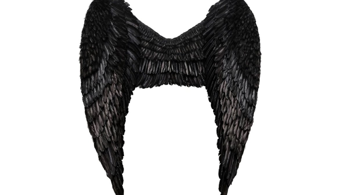 Темные Крылья