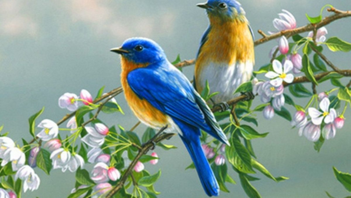 Птица на ветке