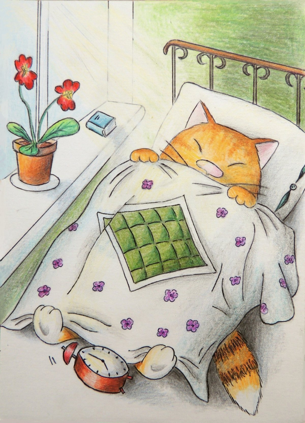 Милые утренние иллюстрации