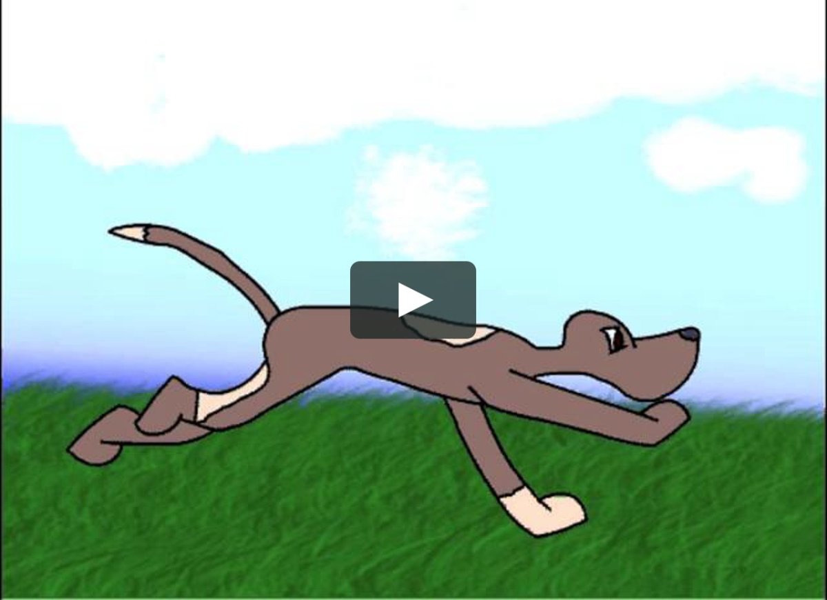 Фотосессия с собакой в поле