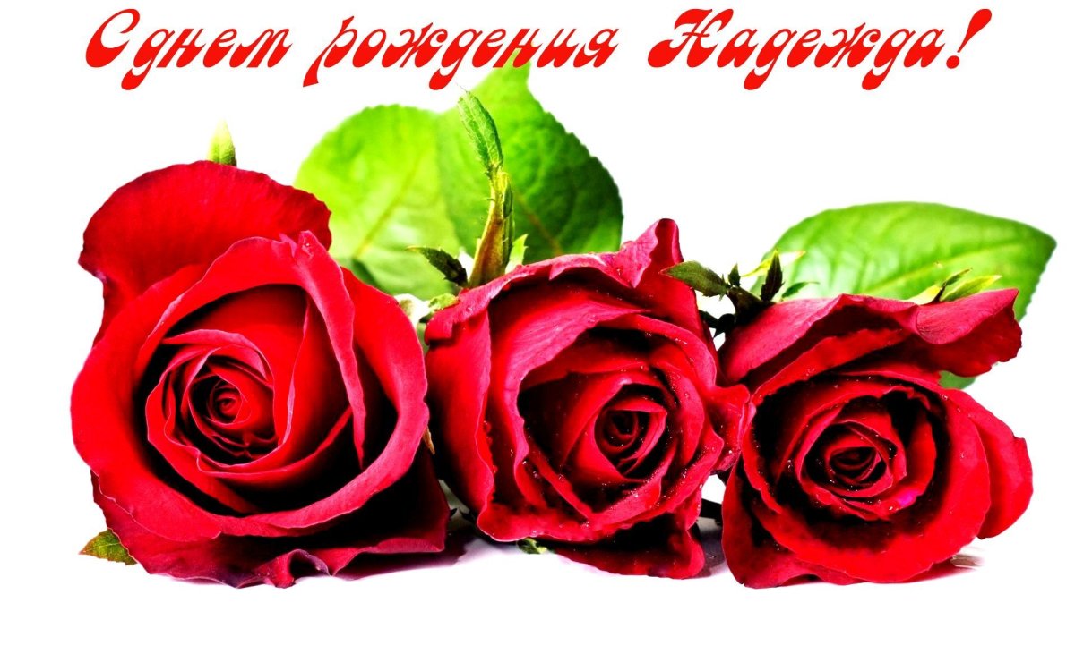 С днем рождения