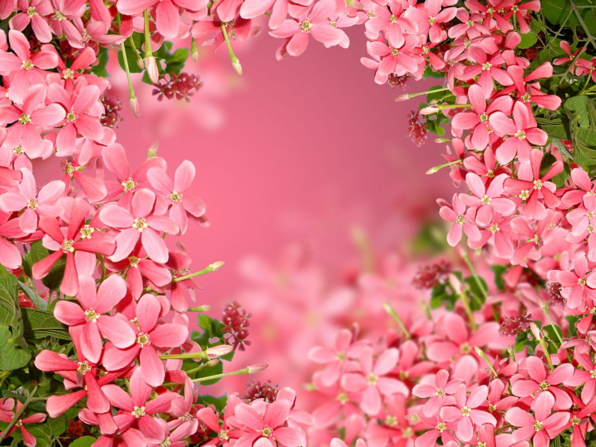 Поздравления с днём рождения надежде