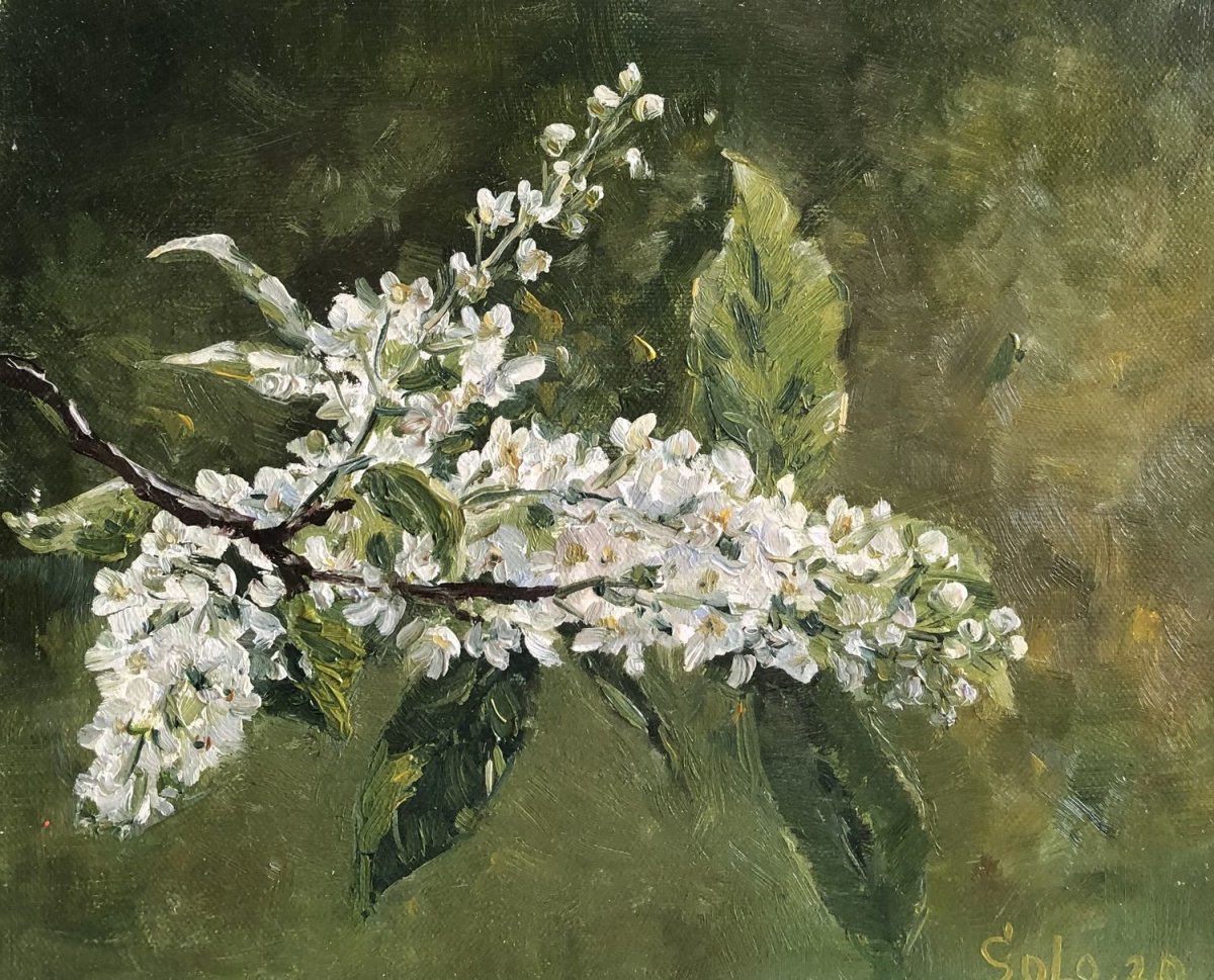 Веточка черемухи