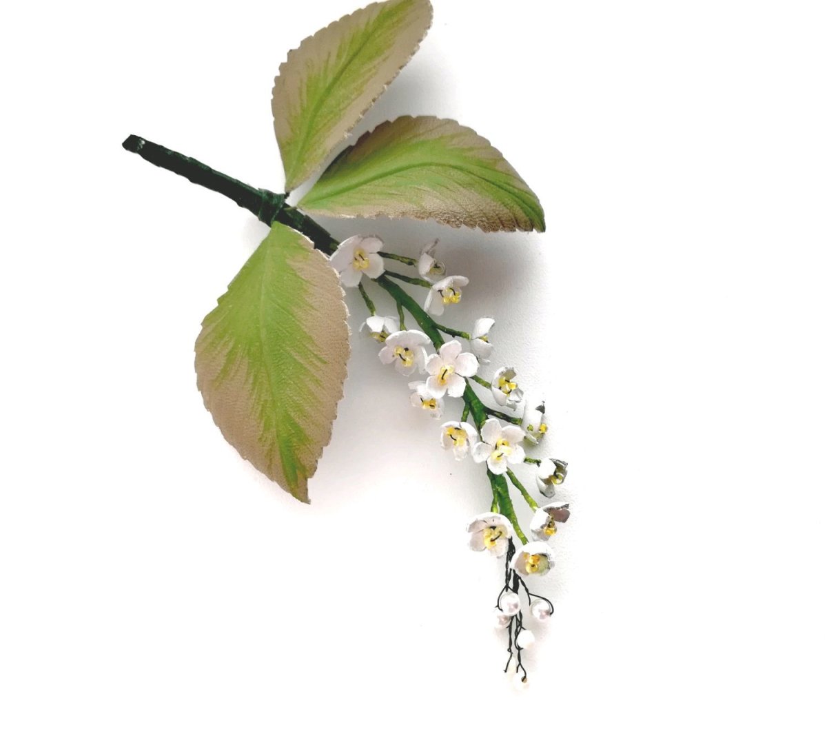 Ветка черемухи