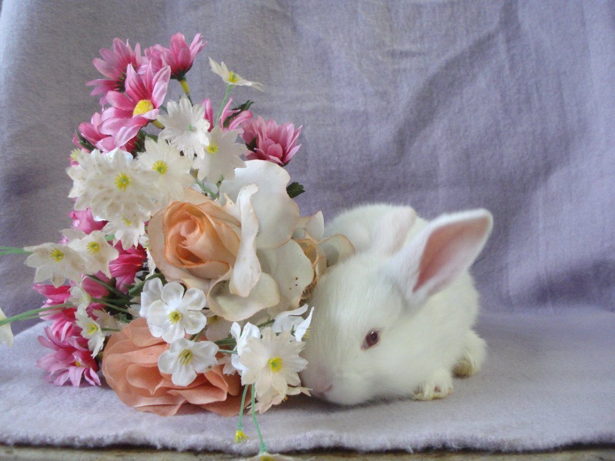 С днём рождения Настя