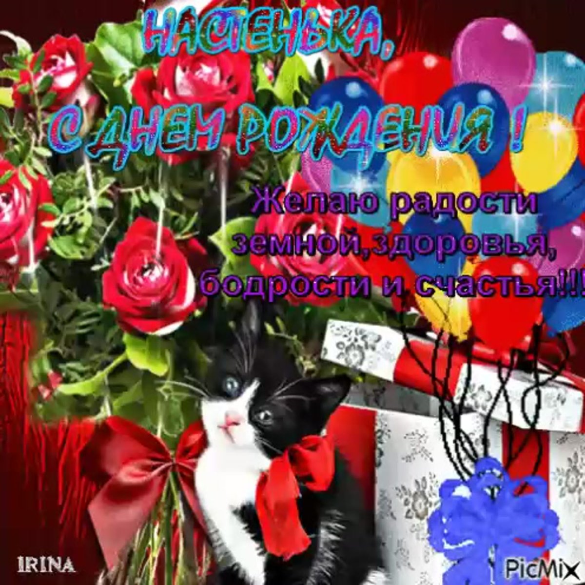 С днём рождения Анастасия