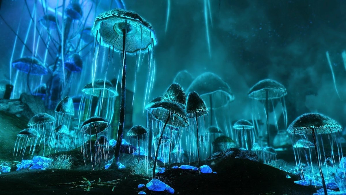 Синие грибы псилоцибы