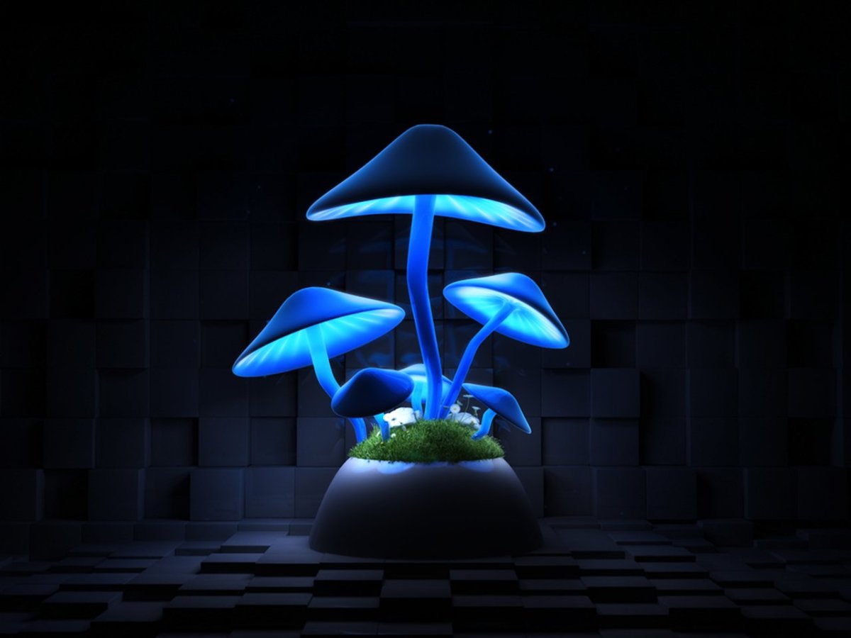 Фантазийный светящийся лес