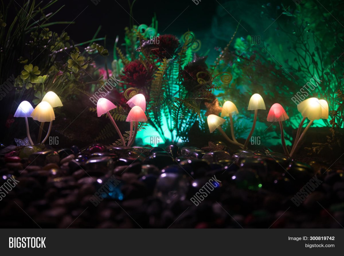 Светящиеся грибы фэнтези