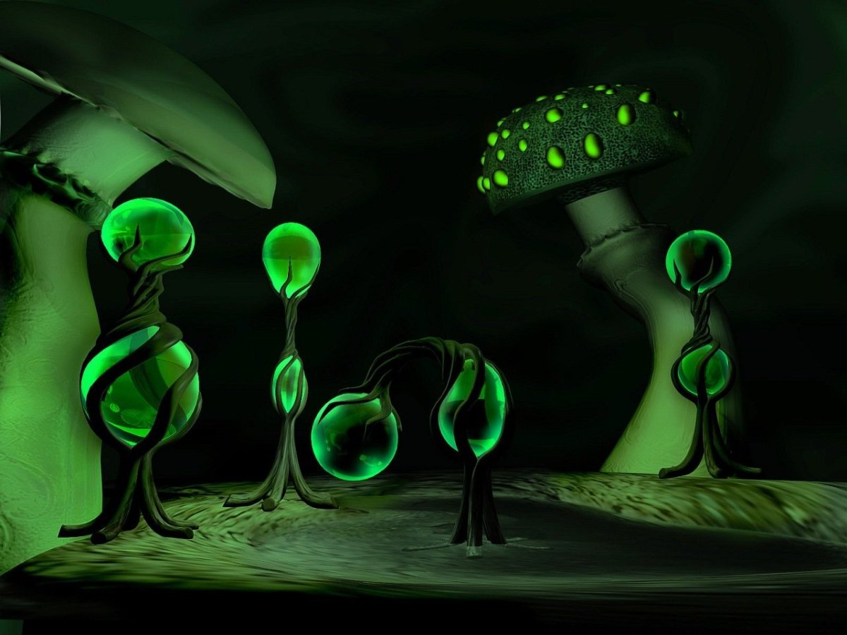Необычные грибы люминесцентный