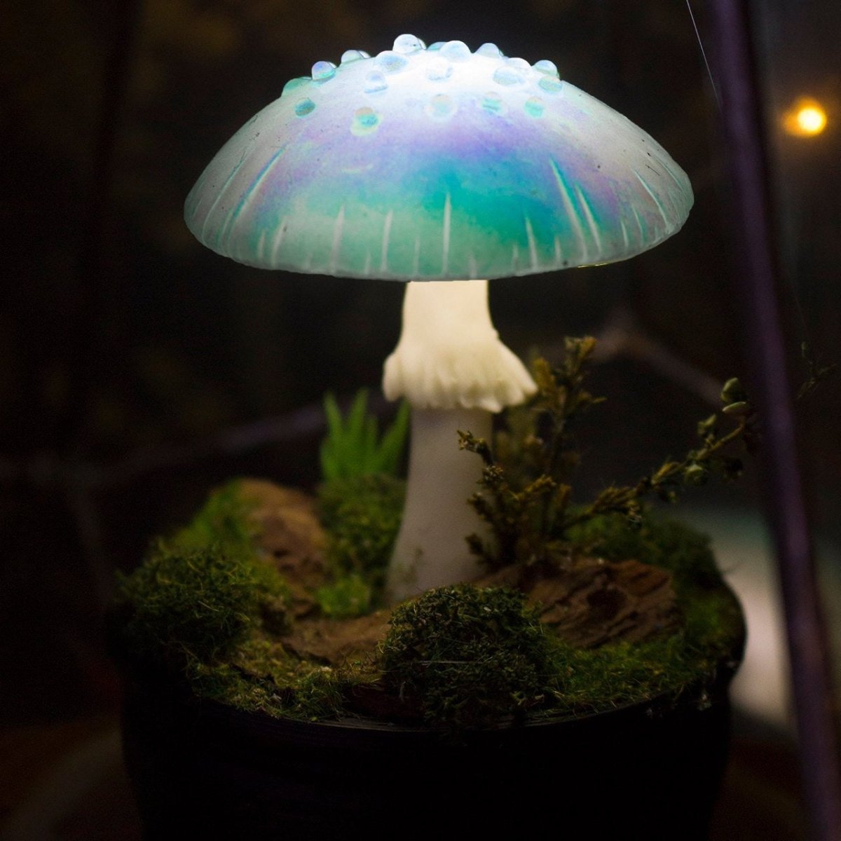 Гигантские светящиеся грибы