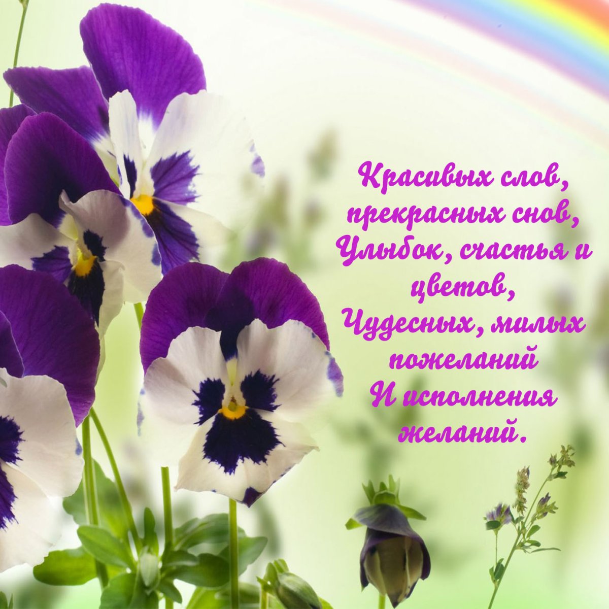 С днем рождения счастья