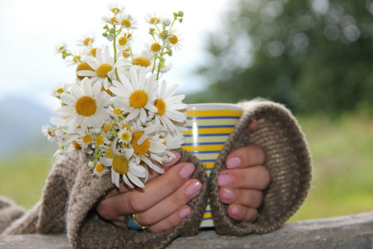 Утро осень уют