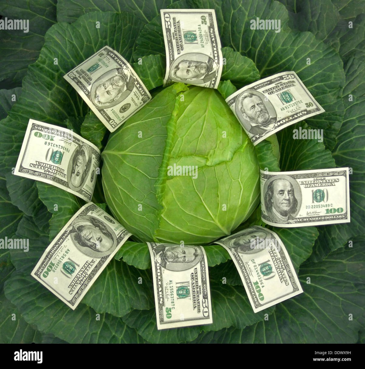 Бухгалтерия фон