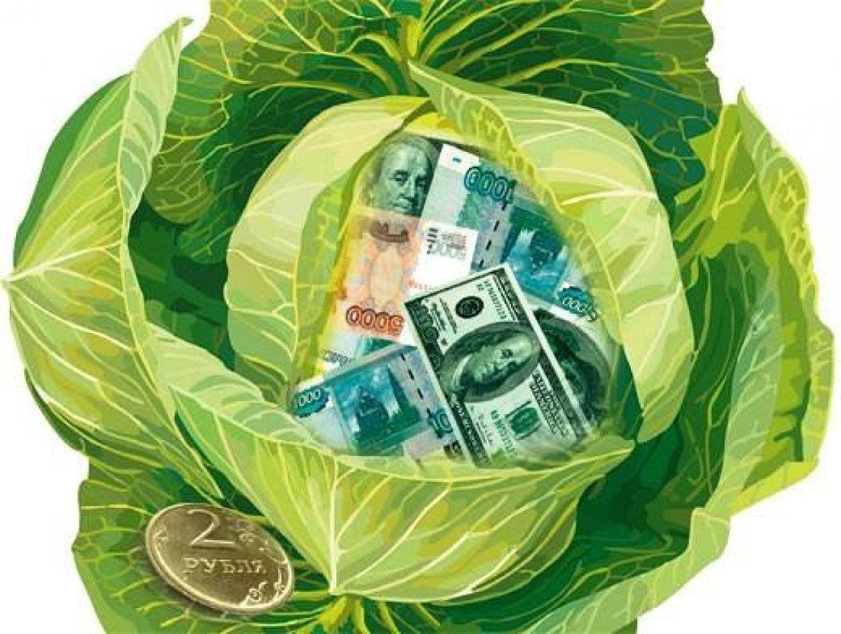 Значки на приложения Эстетика зелёная