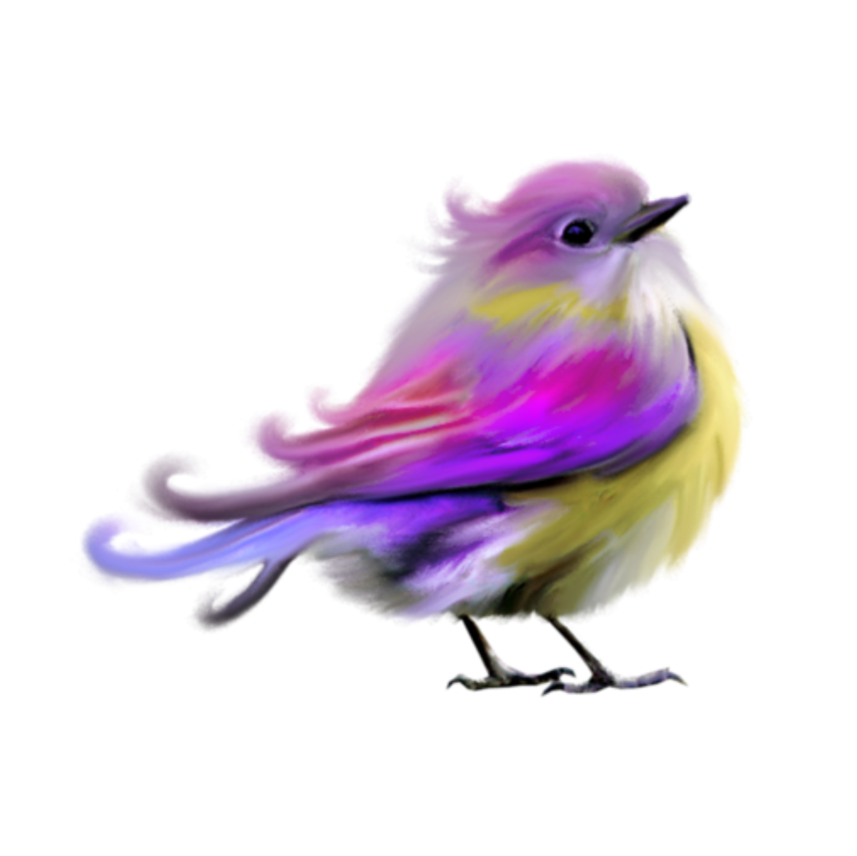 Красивые птицы на прозрачном фоне