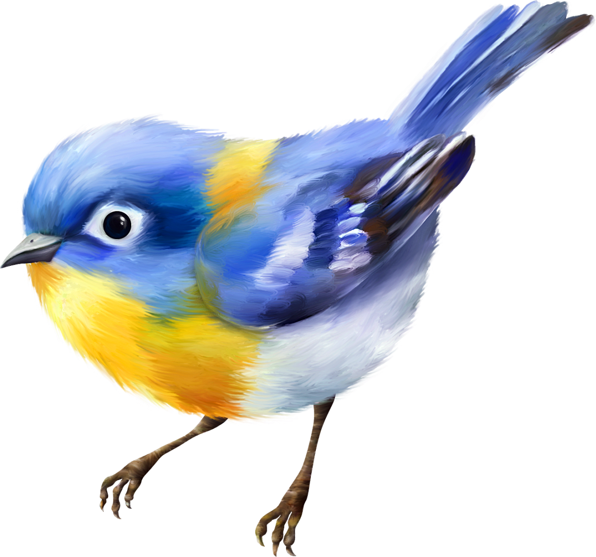 Яркие птички на прозрачном фоне