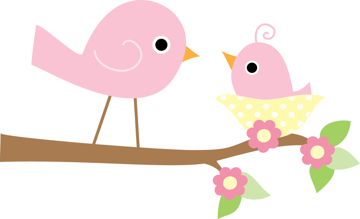 Птицы для детей