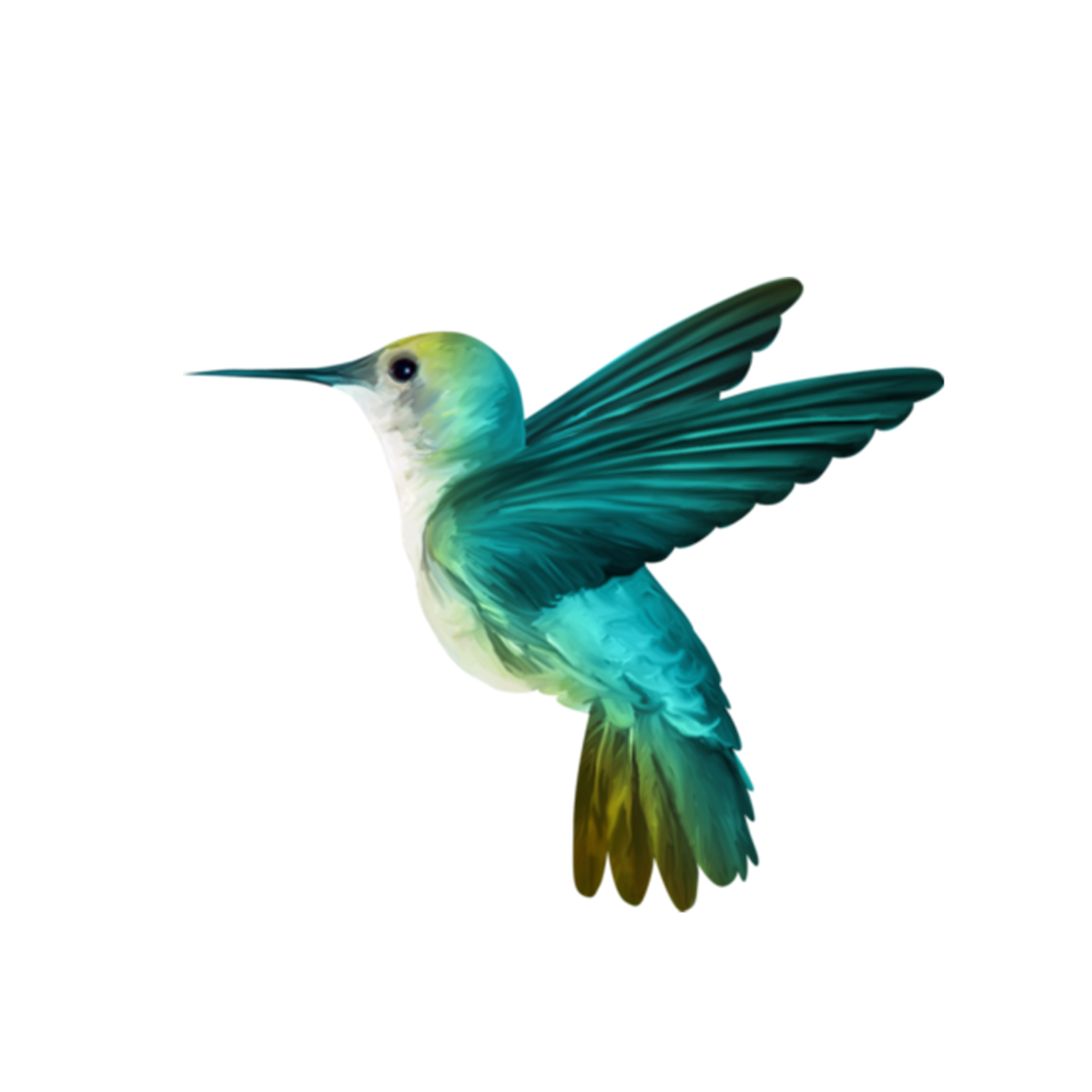 Птицы на прозрачном фоне