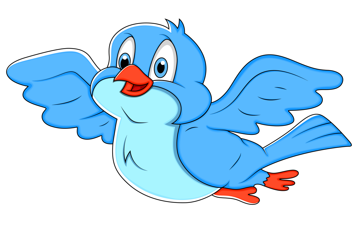 Птичка клипарт на прозрачном фоне