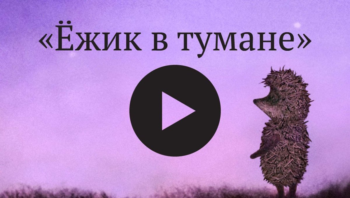 Ежик в тумане