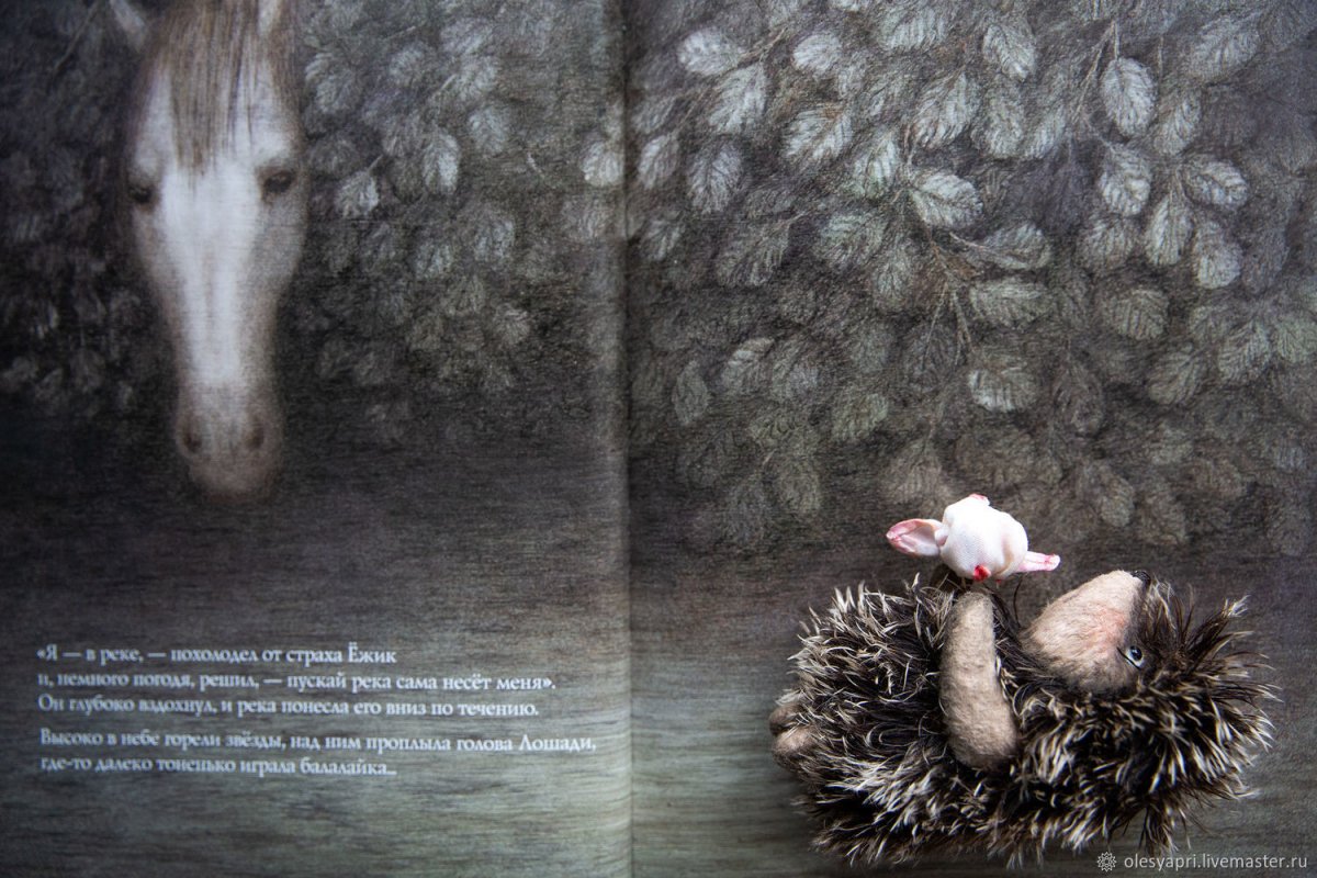 Ёжик в тумане Усть Кут