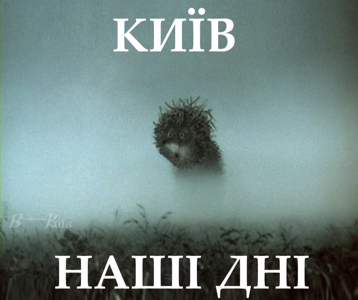 Доброе утро Ежик в тумане