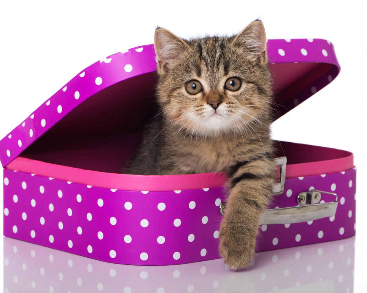 Привет картинки красивые