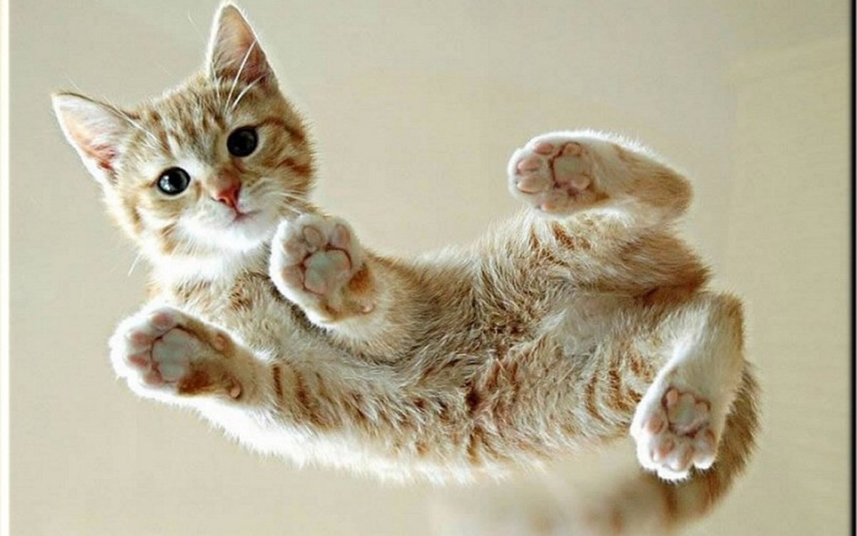 Приветик а вот и я