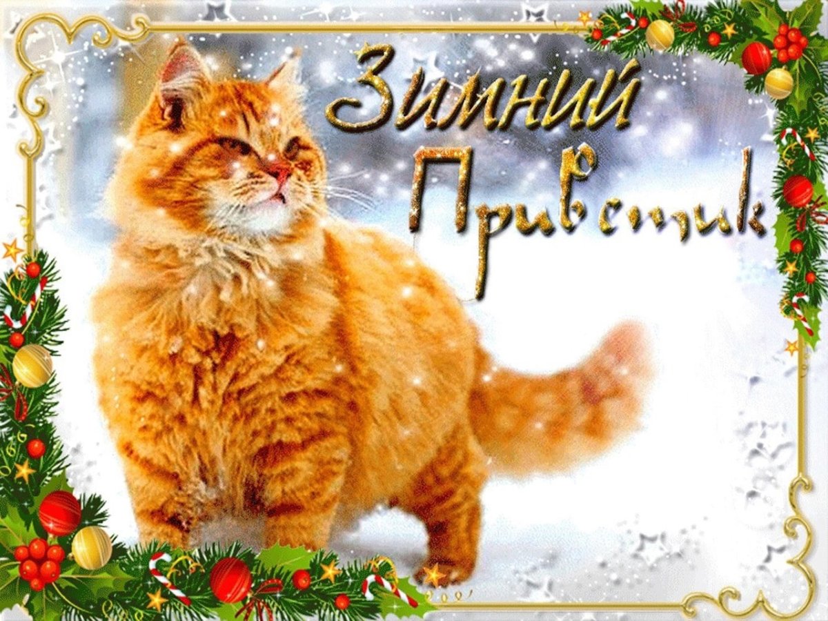 Открытки привет