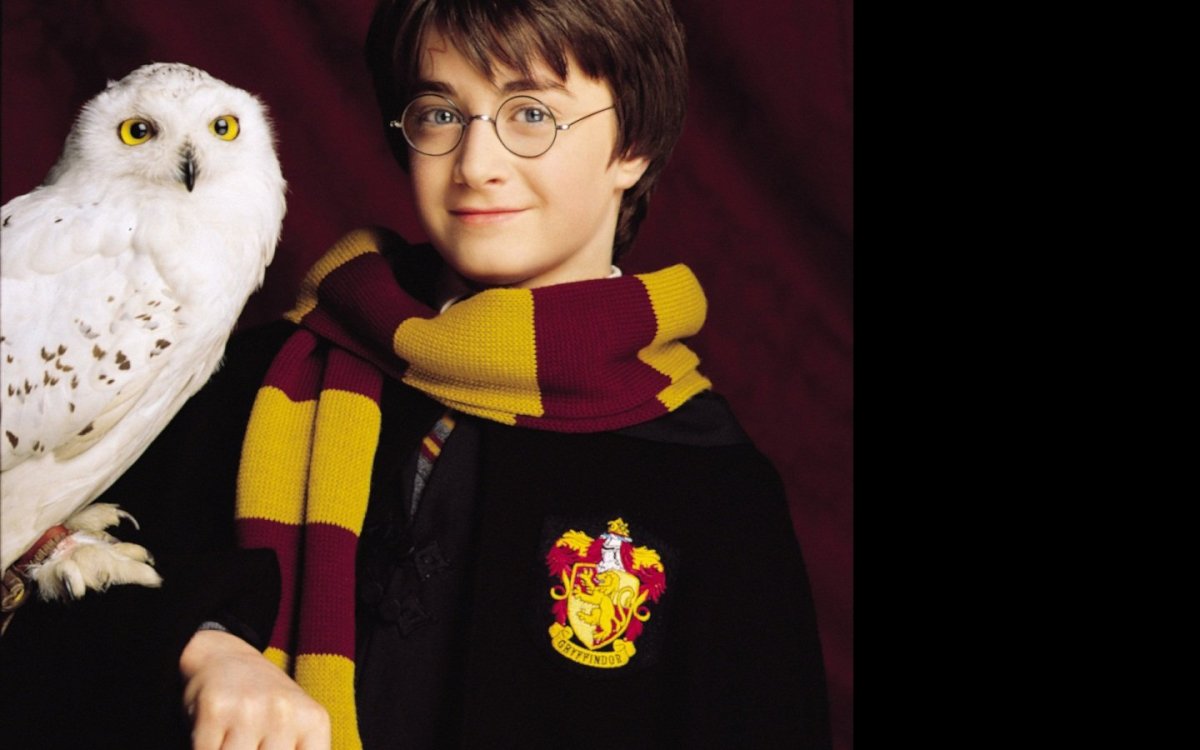 Сова Букля из Гарри Поттера