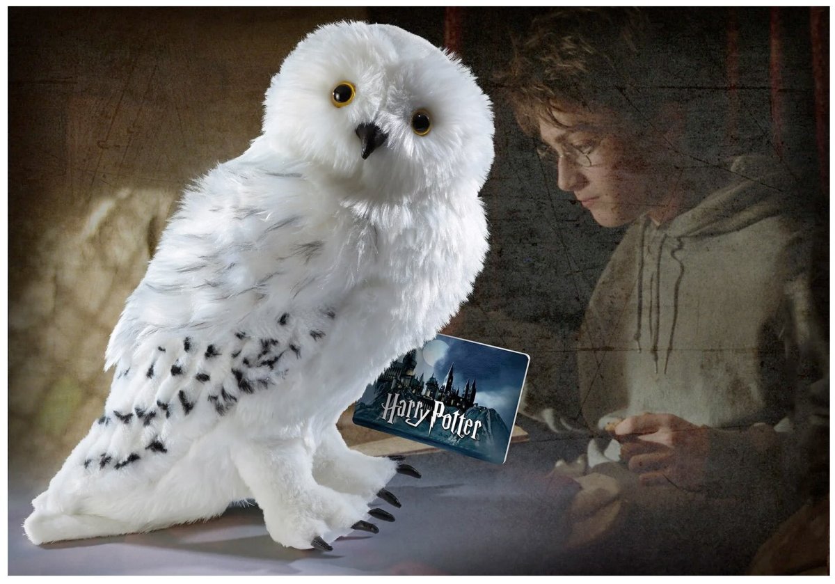 Сова Гарри Поттера Хедвиг